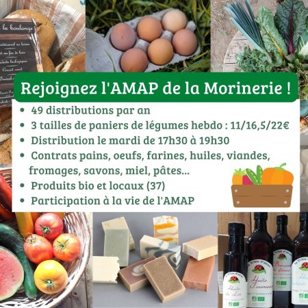 AMAP