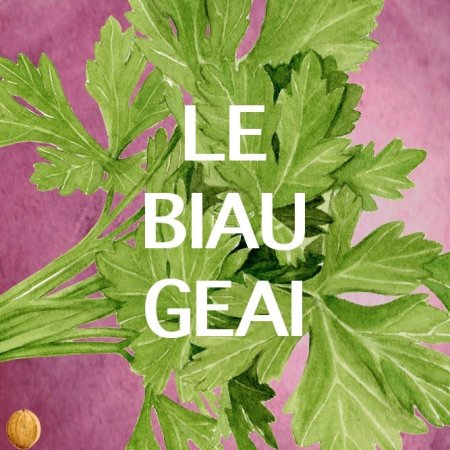 Le Biau Geai