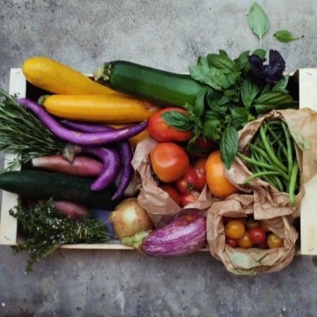Panier légumes