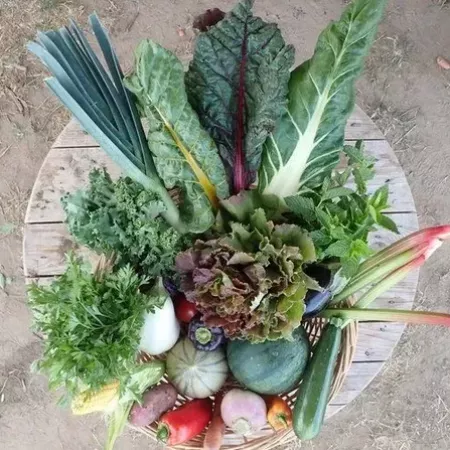 Présentation légumes verts